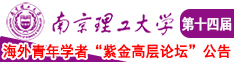 大鸡巴放进去南京理工大学第十四届海外青年学者紫金论坛诚邀海内外英才！